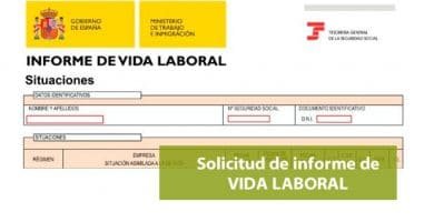 Cómo pedir el informe de vida laboral por Internet, SMS o teléfono
